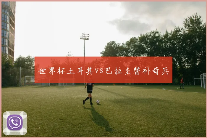 世界杯土耳其vs巴拉圭替补奇兵