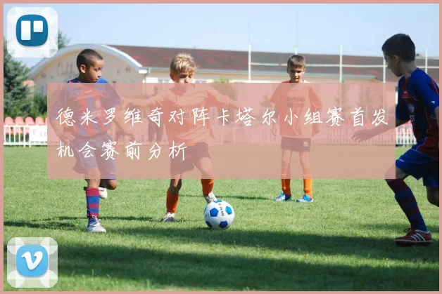 德米罗维奇对阵卡塔尔小组赛首发机会赛前分析
