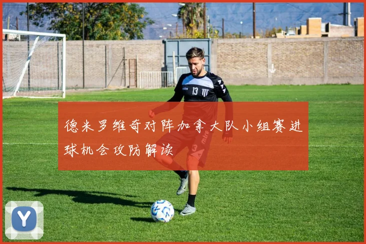 德米罗维奇对阵加拿大队小组赛进球机会攻防解读