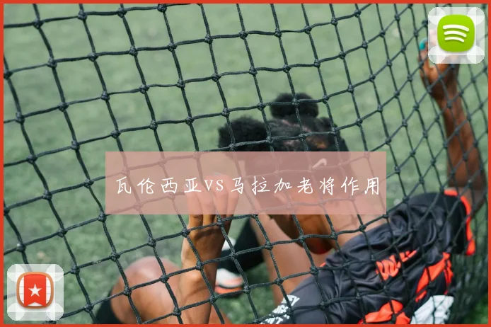 瓦伦西亚vs马拉加老将作用
